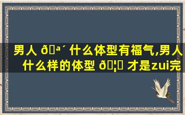 男人 🪴 什么体型有福气,男人什么样的体型 🦟 才是zui
完美的